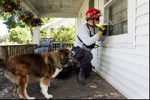 search and rescue