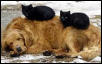 friendship