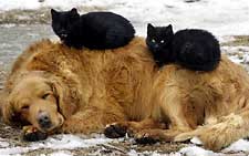 friendship
