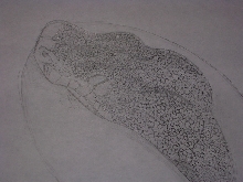 unfinished GTP