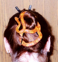 Medusa