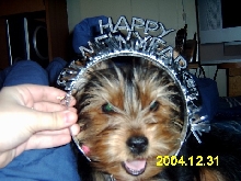 New years