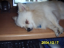 Giz sleepin