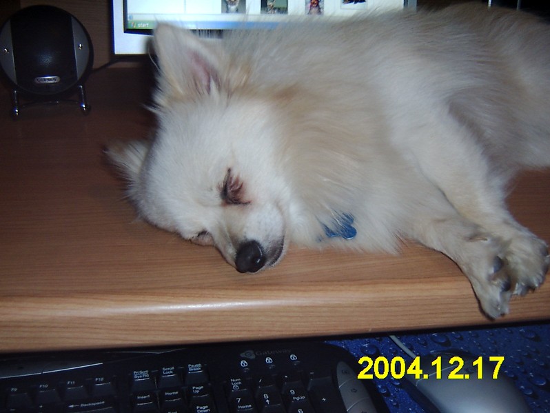 Giz sleepin