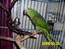 Skip