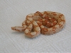 Sunglow female