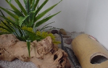 My Viv