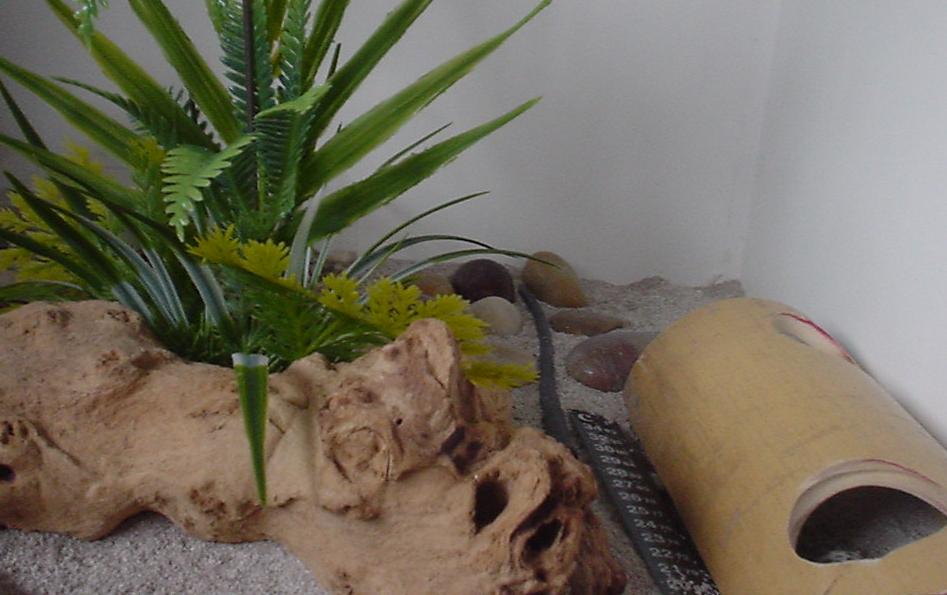 My Viv