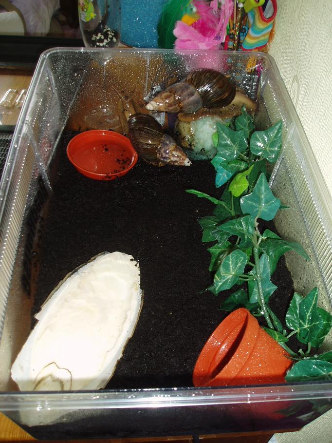 snails..
