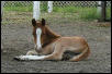 Ellie as a baby