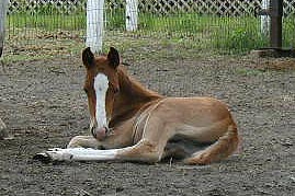 Ellie as a baby