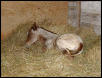 Its a Girl!