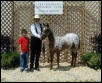 Pepper at LCAC Show