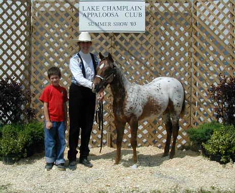 Pepper at LCAC Show