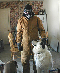 Winter Warfare