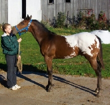 Zack - 8 months