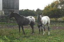 Sisters