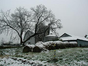 Winter on the farm
