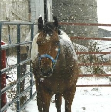 Zack in the snow