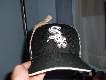 Beardie Sox fan 2