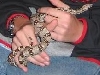 my first snake