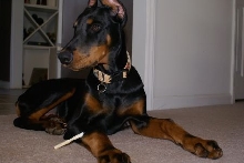Duncan (5 months)