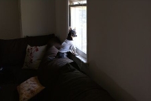 watch dog