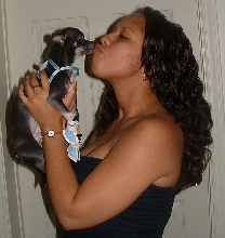 The Ladies Love Rocco!