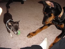Brothers
