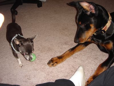 Brothers