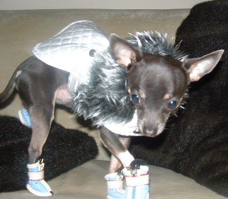 Boo in Boots