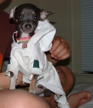 Rocco's Clothes
