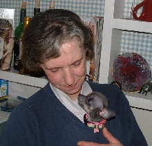 Grandma Hearts Rocco