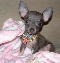 Rocco's First Picture