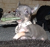 Play Time!!!!
