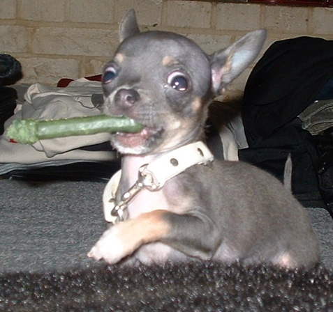 Play Time!!!!