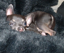 Nap Time