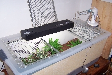 Indoor enclosure