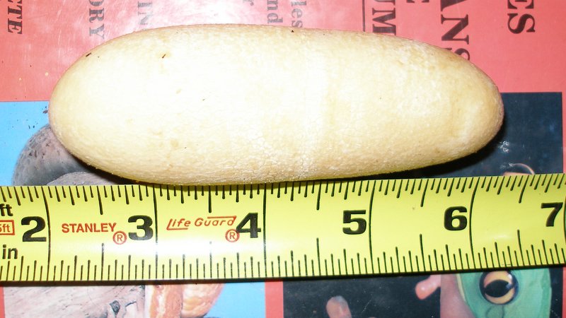 peeled eastern egg