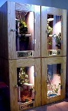 Arboreal cages-a weekend project