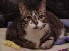 Kakel 3/01/87 to 10/28/04