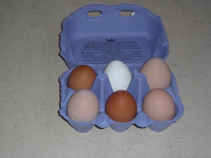 eggs