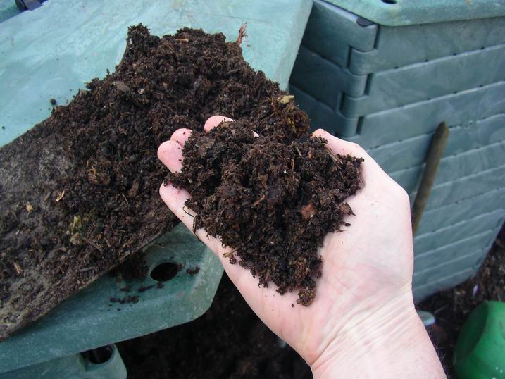 Chickencompost