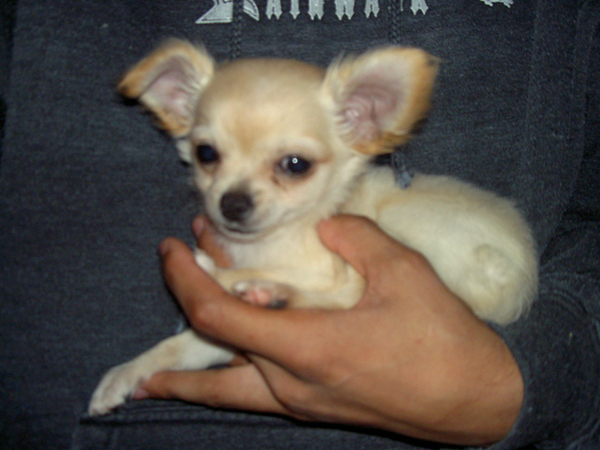 8 weeks - Nameless until Christmas