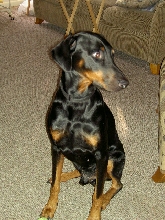 Profile of Tank