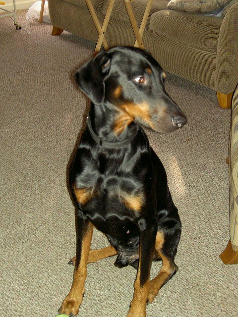 Profile of Tank