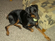 Tank's A Beast w/ A Ball