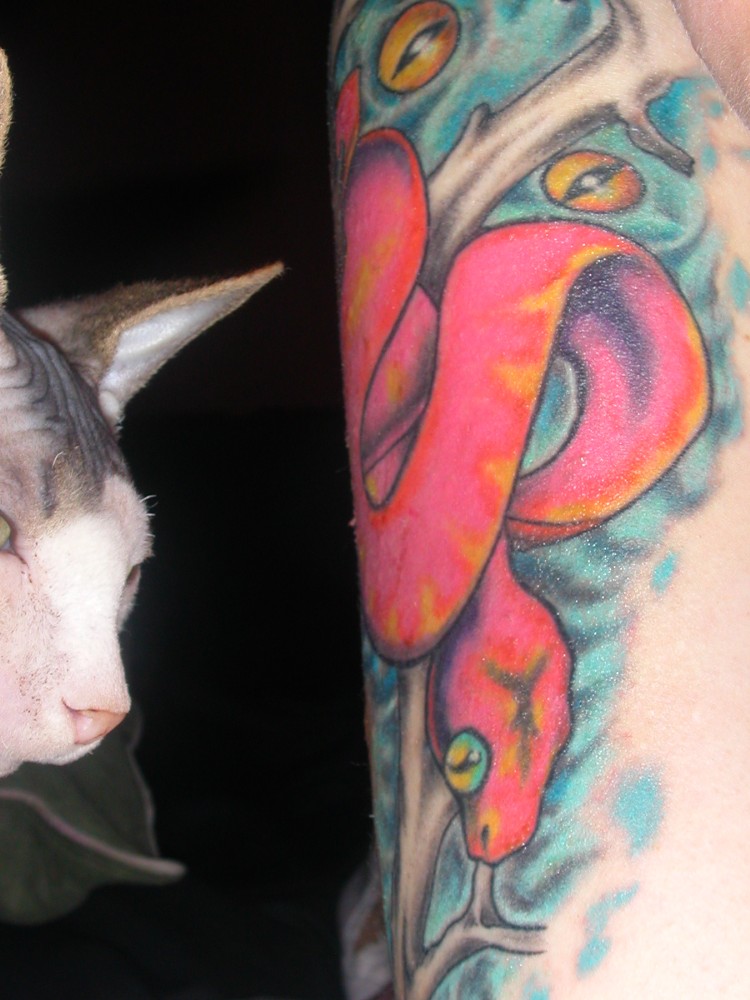 Xerxes and tattoo