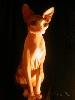 Xerxes