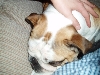Libby4